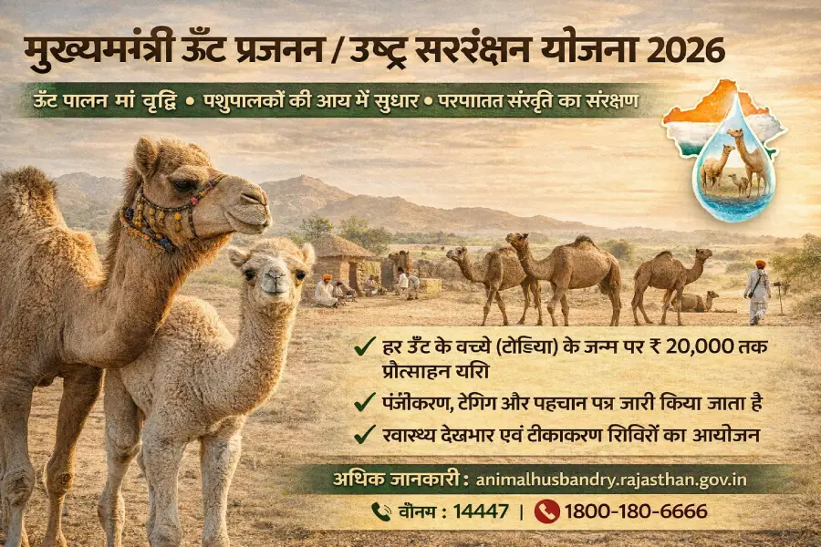 मुख्यमंत्री ऊँट प्रजनन योजना 2026